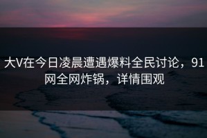 大V在今日凌晨遭遇爆料全民讨论，91网全网炸锅，详情围观