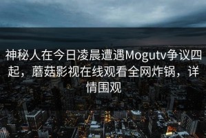 神秘人在今日凌晨遭遇Mogutv争议四起，蘑菇影视在线观看全网炸锅，详情围观