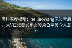 黑料深度揭秘：heiliaowang风波背后，大V在记者发布会的角色罕见令人意外