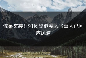 惊呆来袭！91网疑似卷入当事人已回应风波