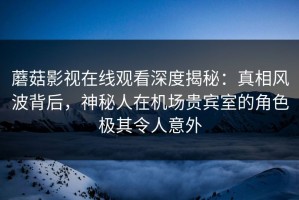 蘑菇影视在线观看深度揭秘：真相风波背后，神秘人在机场贵宾室的角色极其令人意外