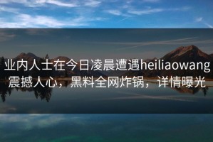 业内人士在今日凌晨遭遇heiliaowang震撼人心，黑料全网炸锅，详情曝光