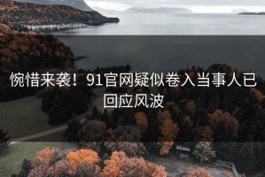 惋惜来袭！91官网疑似卷入当事人已回应风波