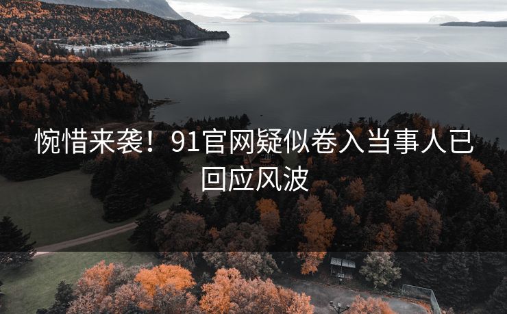 惋惜来袭！91官网疑似卷入当事人已回应风波