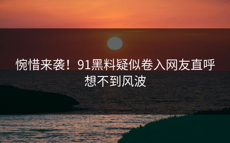惋惜来袭！91黑料疑似卷入网友直呼想不到风波