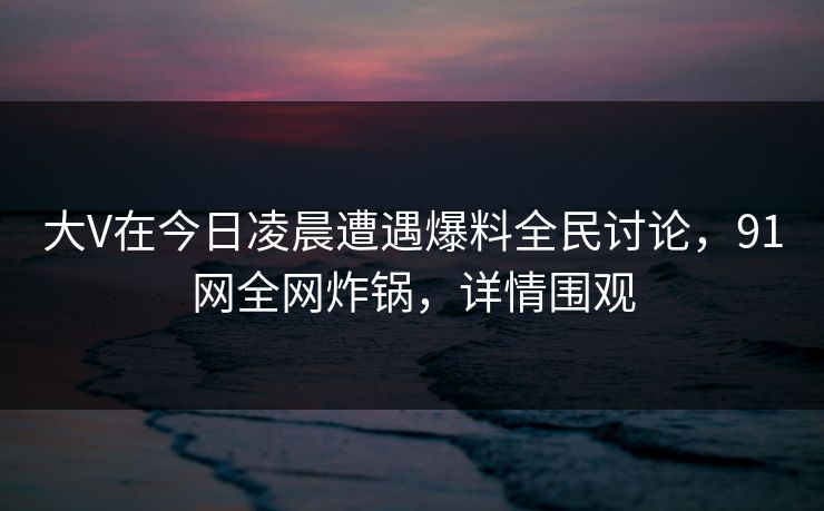 大V在今日凌晨遭遇爆料全民讨论，91网全网炸锅，详情围观