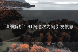 详细解析：91网这次为何引发愤怒