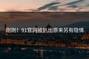 刚刚！91官网被扒出原来另有隐情