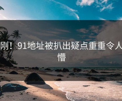 刚刚！91地址被扒出疑点重重令人发懵