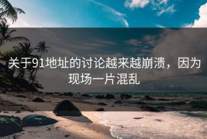 关于91地址的讨论越来越崩溃，因为现场一片混乱