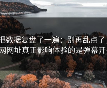 我把数据复盘了一遍：别再乱点了，51网网址真正影响体验的是弹幕开关