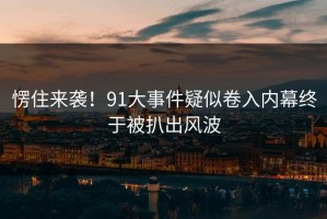 愣住来袭！91大事件疑似卷入内幕终于被扒出风波