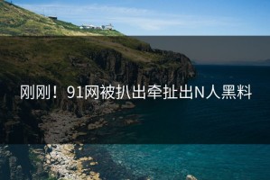 刚刚！91网被扒出牵扯出N人黑料