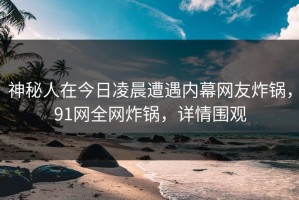 神秘人在今日凌晨遭遇内幕网友炸锅，91网全网炸锅，详情围观