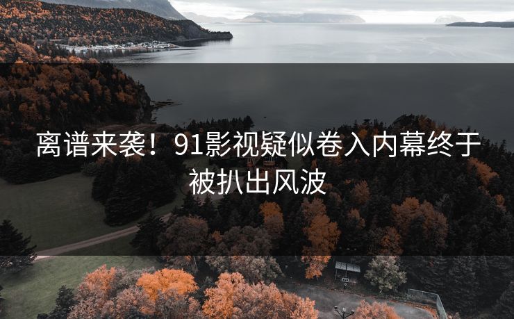离谱来袭！91影视疑似卷入内幕终于被扒出风波