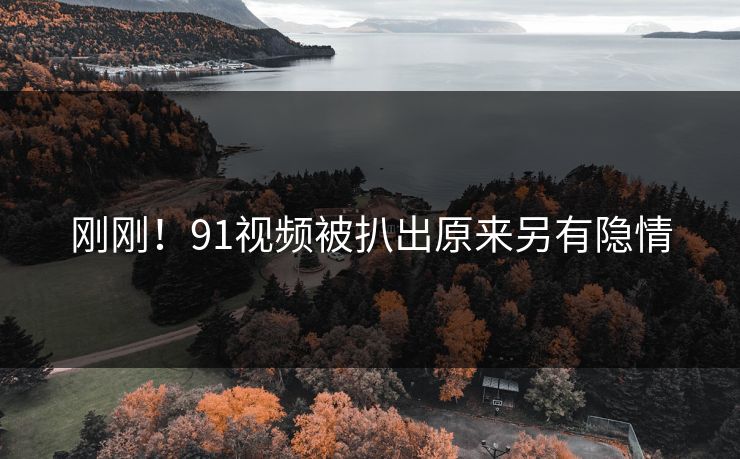 刚刚！91视频被扒出原来另有隐情