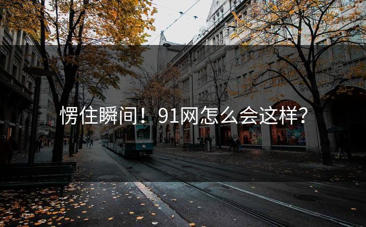 愣住瞬间！91网怎么会这样？
