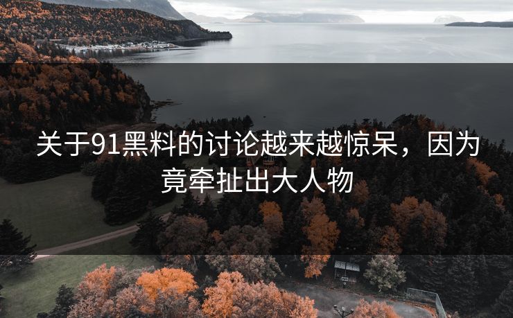 关于91黑料的讨论越来越惊呆，因为竟牵扯出大人物