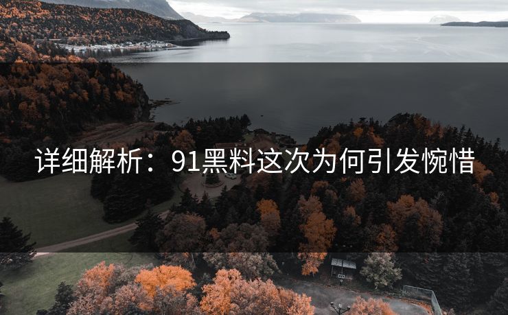 详细解析：91黑料这次为何引发惋惜