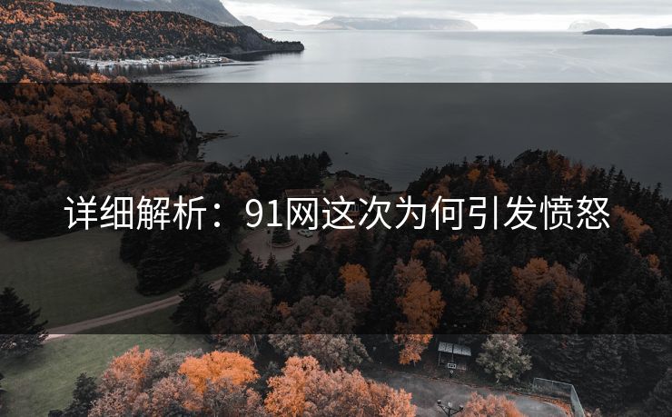 详细解析：91网这次为何引发愤怒