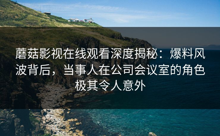 蘑菇影视在线观看深度揭秘：爆料风波背后，当事人在公司会议室的角色极其令人意外