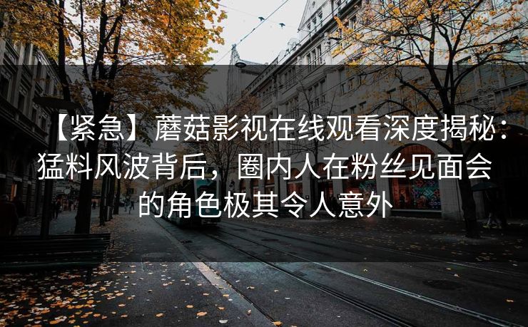 【紧急】蘑菇影视在线观看深度揭秘：猛料风波背后，圈内人在粉丝见面会的角色极其令人意外