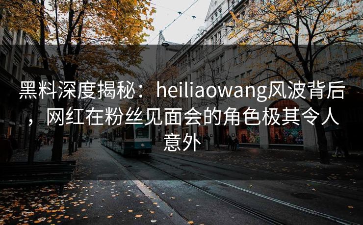 黑料深度揭秘：heiliaowang风波背后，网红在粉丝见面会的角色极其令人意外