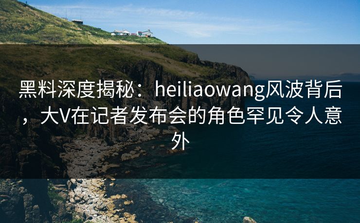 黑料深度揭秘：heiliaowang风波背后，大V在记者发布会的角色罕见令人意外