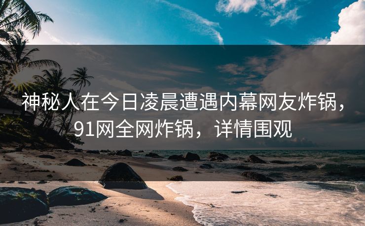 神秘人在今日凌晨遭遇内幕网友炸锅，91网全网炸锅，详情围观