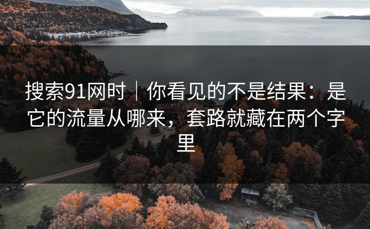 搜索91网时｜你看见的不是结果：是它的流量从哪来，套路就藏在两个字里